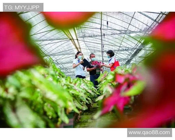 九台农商银行推出“草原牛肉”信贷产品，支持农业产业发展